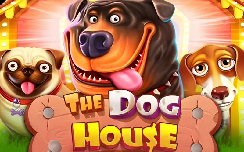 Juega a The Dog House Megaways en el casino en línea 1win y obtén enormes ganancias hoy.