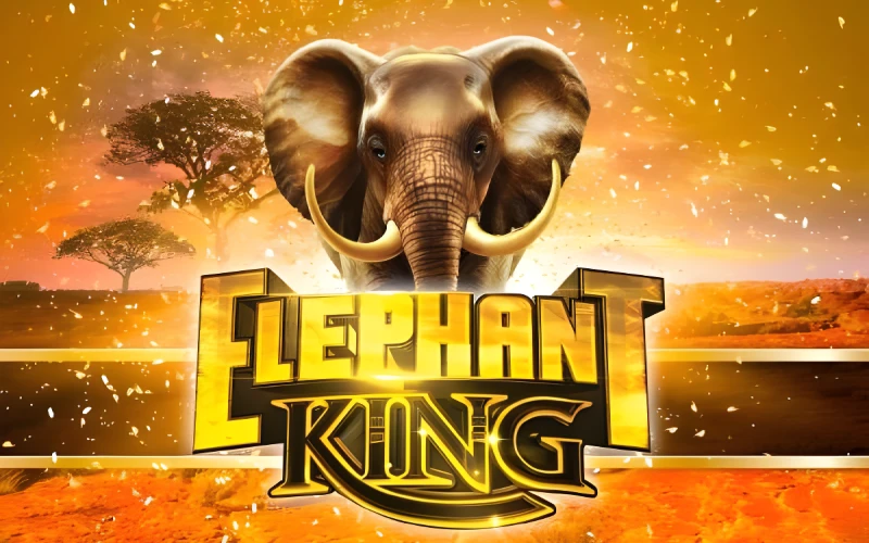 Juega a Elephant Kingdom en el casino online 1win y gana premios majestuosos hoy.